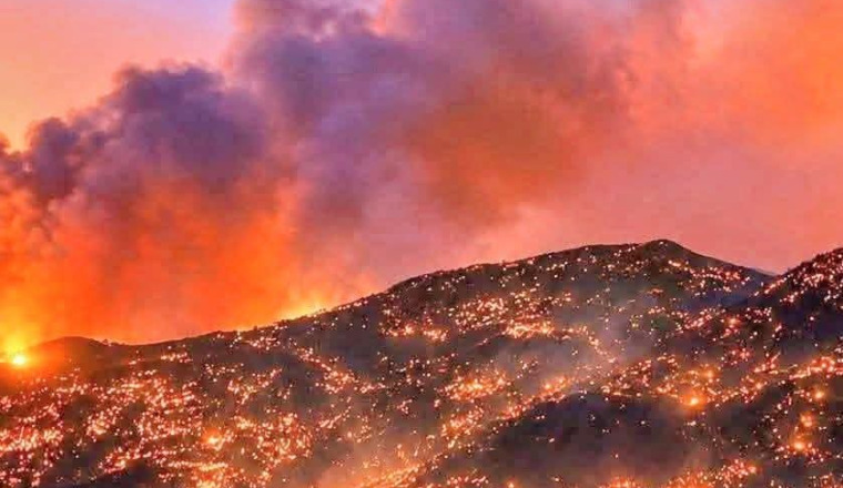 Urgence incendies Jijel : Appel à la solidarité
