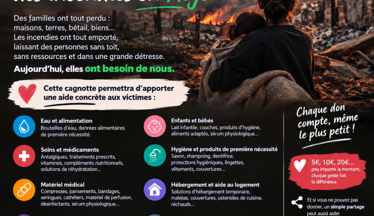Urgence en Algérie : aides aux victimes