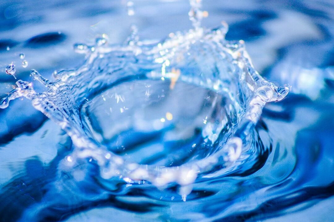 💧El agua es vital, ofrézcala a quienes la necesitan❤️