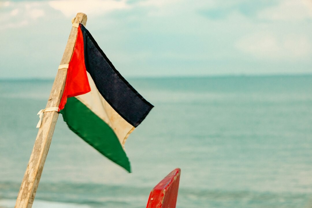 Marmite Palestine 