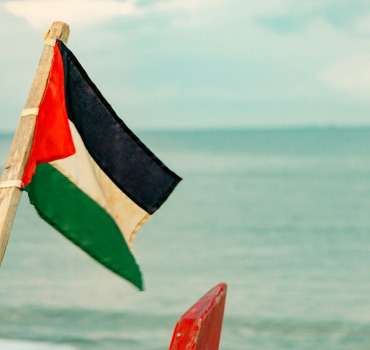 Marmite Palestine 