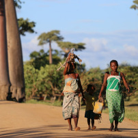 Soutien aux orphelins de Madagascar 