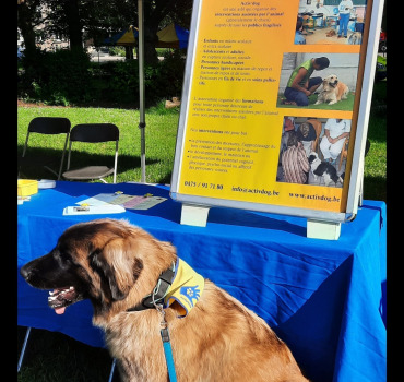 Opération chien d'assistance