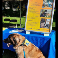 Opération chien d'assistance