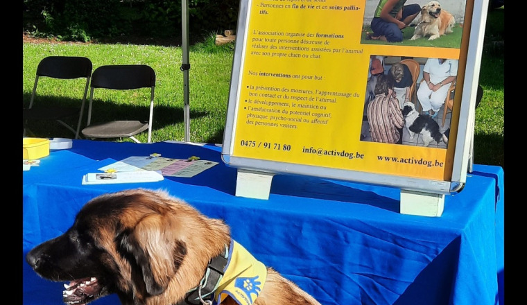 Opération chien d'assistance