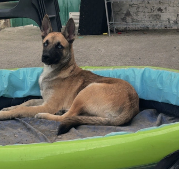 🐾 AIDEZ-NOUS À SAUVER NOTRE BÉBÉ ❤️