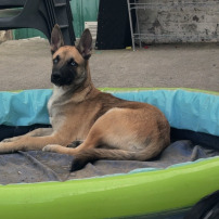 🐾 AIDEZ-NOUS À SAUVER NOTRE BÉBÉ ❤️