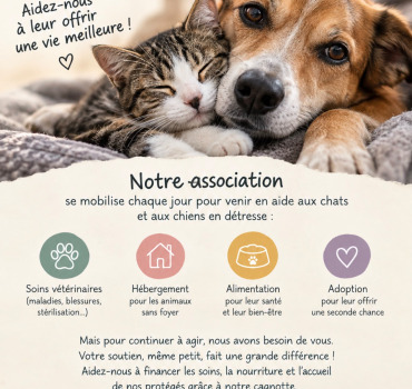 Pour ceux qui ne peuvent pas demander de l’aide : devenons leur espoir