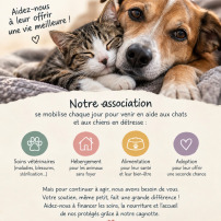 Pour ceux qui ne peuvent pas demander de l’aide : devenons leur espoir