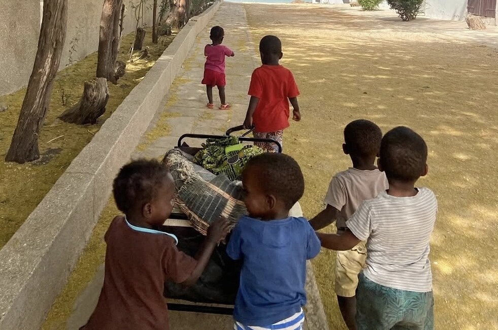 Pouponnière Sénégal 