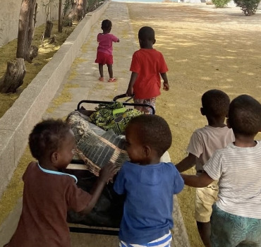 Pouponnière Sénégal 