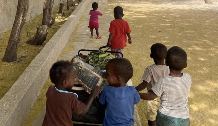 Pouponnière Sénégal 