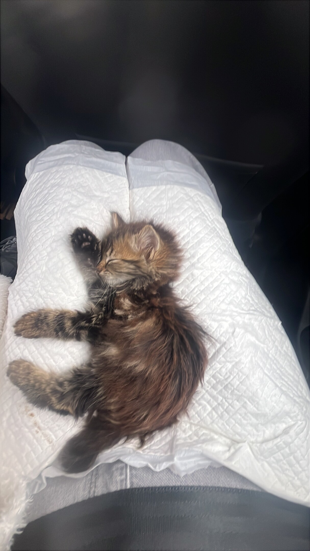 Aider nous à sauver ce bébé trouvée dans la rue 