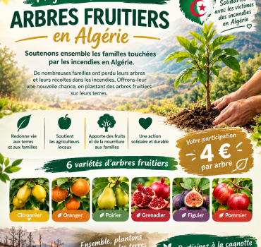 Projet de plantation d’arbres fruitiers en Algérie