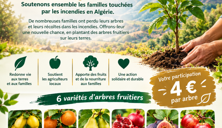 Projet de plantation d’arbres fruitiers en Algérie