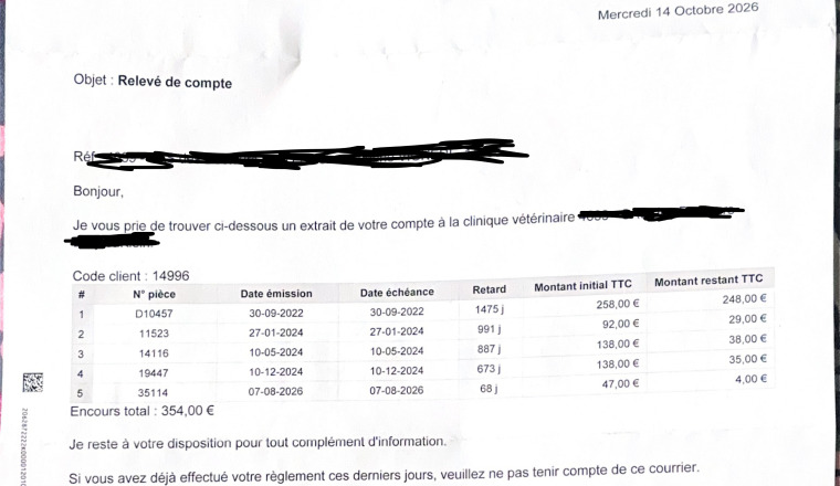 Image justificative de la cagnotte