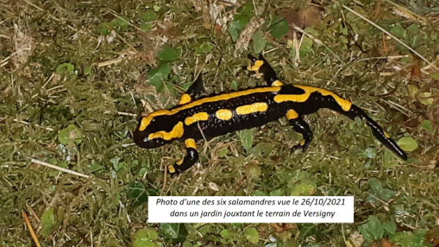 Image d'actualité