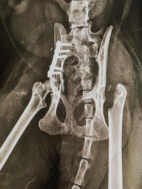 Image d'actualité