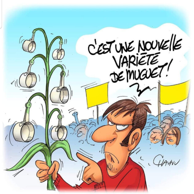 Image d'actualité