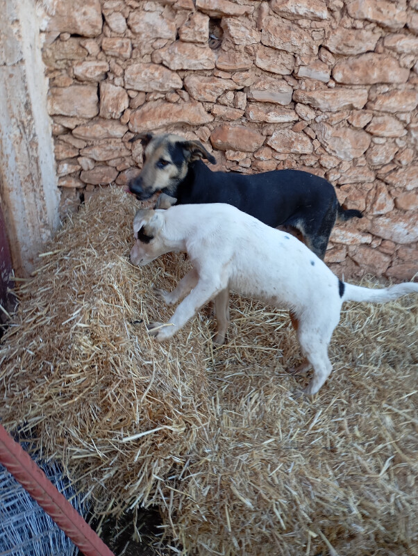 Image d'actualité