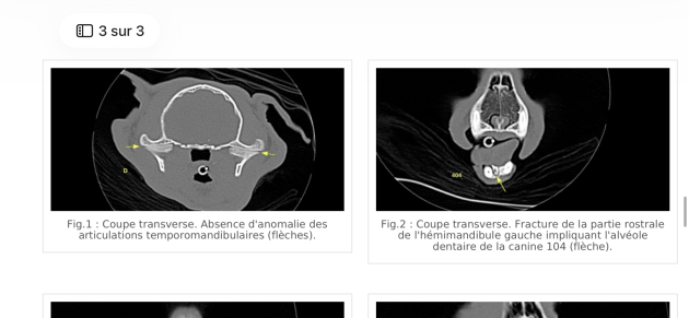 Image d'actualité